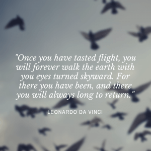Da Vinci Quote.