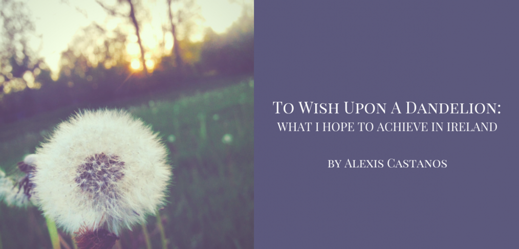 To wish upon a dandelion