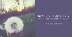 To wish upon a dandelion